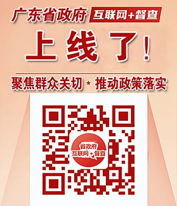 广东省政府“互联网+亚星游戏官网111”平台