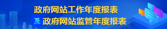 政府网站工作年度报表及政府网站监管年度报表