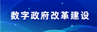 数字政府改革建设