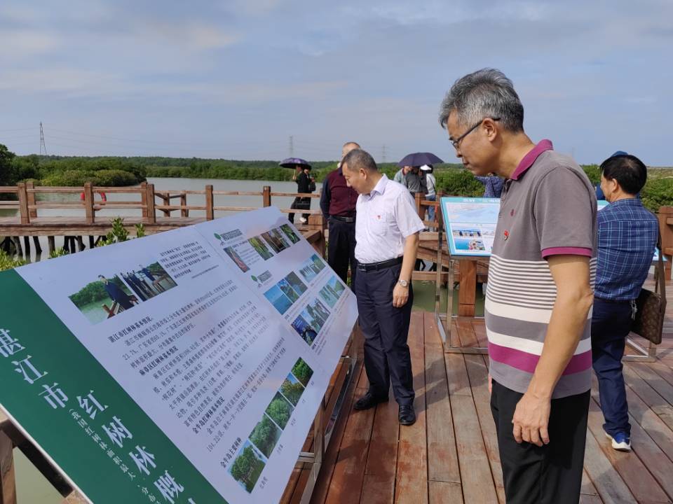 头号玩家平台怎么提现到银行卡市人民政府地方志办公室开展“沿着总书记的足迹”暨“守护红树林，共建绿美头号玩家平台怎么提现到银行卡”主题党日活动