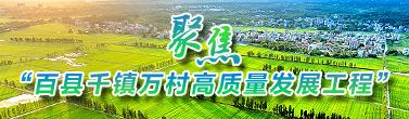 聚焦“百县千镇万村高质量发展工程”