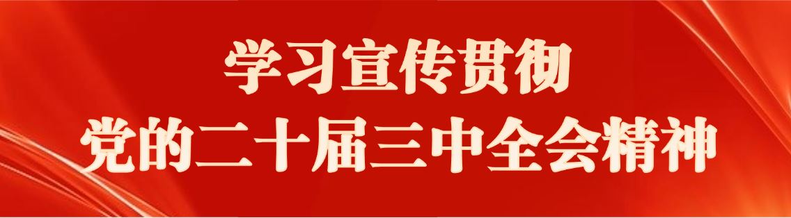 学习宣传贯彻党的二十届三中全会精神