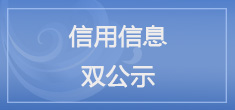 切尔西plan市司法局信息信用双公示