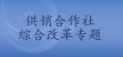 广东省供销合作社改革专题